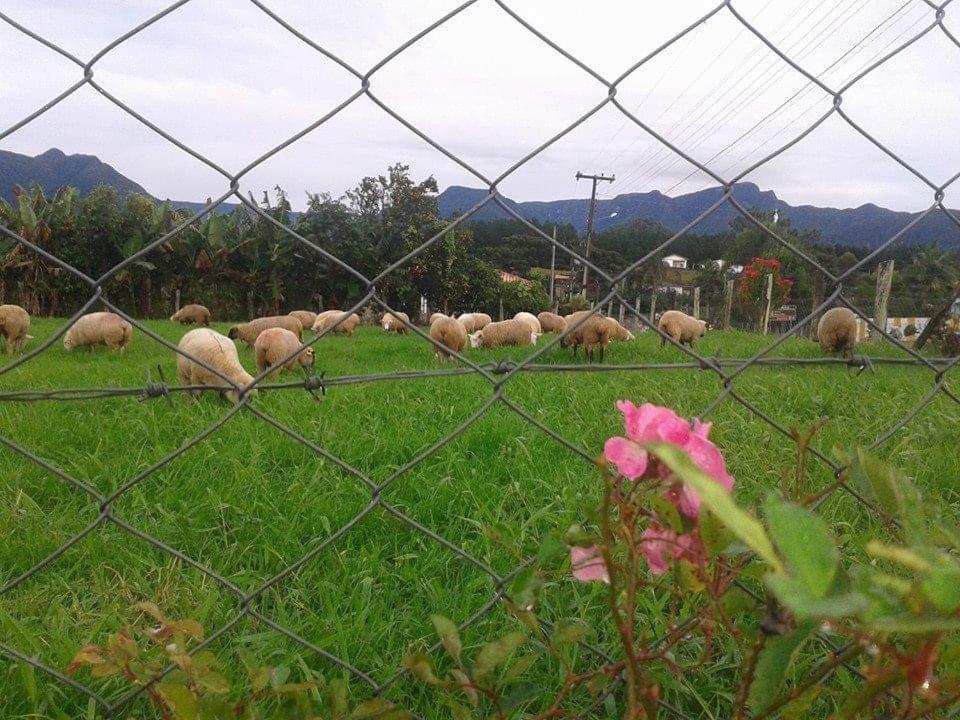 Casa Di Pecora - Pousada Rural Lauro Muller Zewnętrze zdjęcie